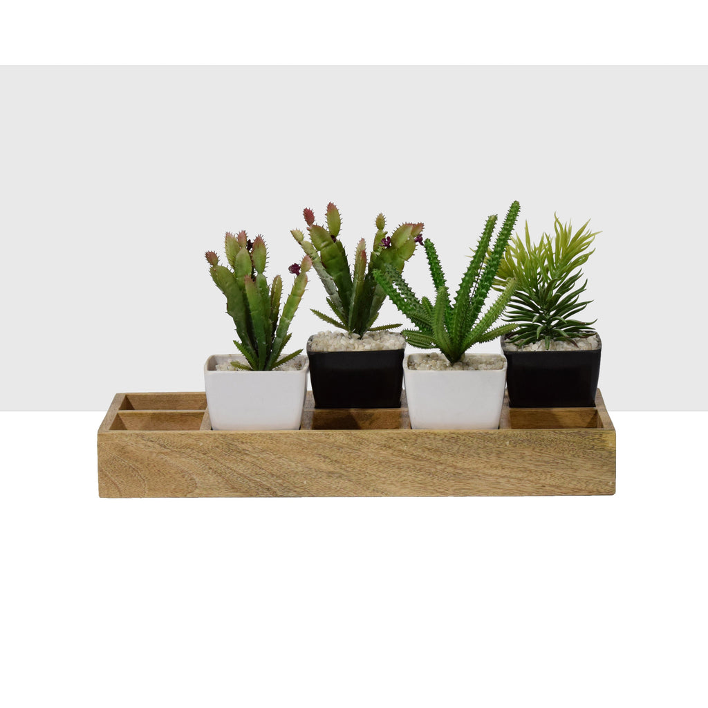 Flower pot organizer